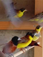 前を見て〜