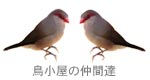 鳥小屋の仲間達