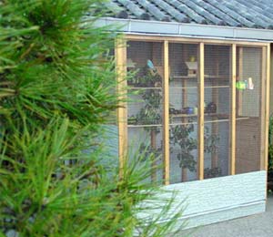 りっぱな鳥小屋完成!