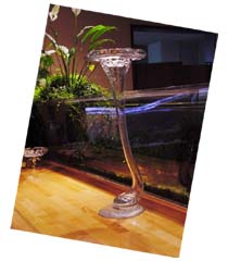 一輪挿し