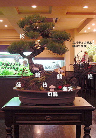 松竹梅!